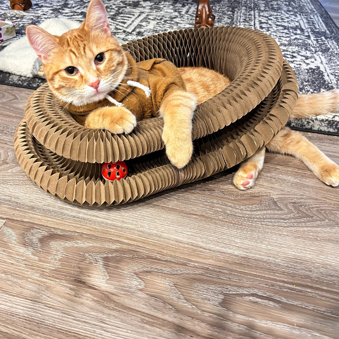 5. It's actually helping cats with anxiety and depression