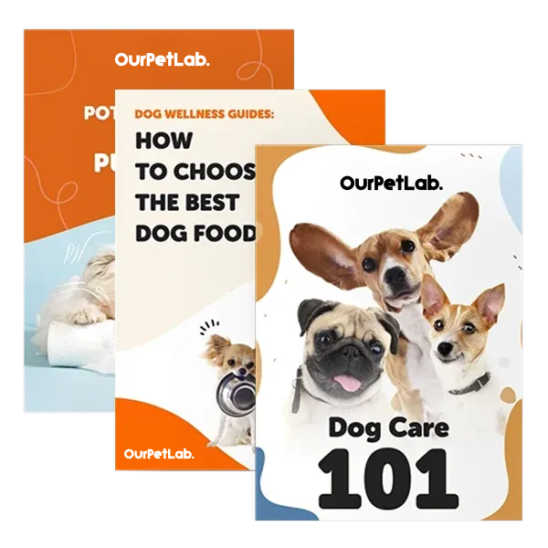 The Dog Training Sytem