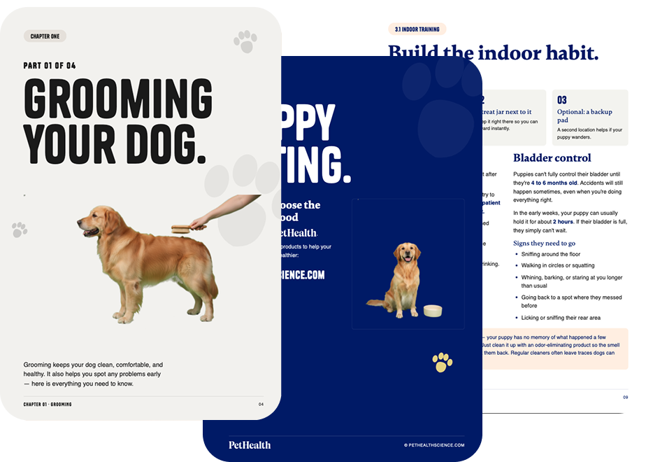 Potty Training Book (Instant Download)