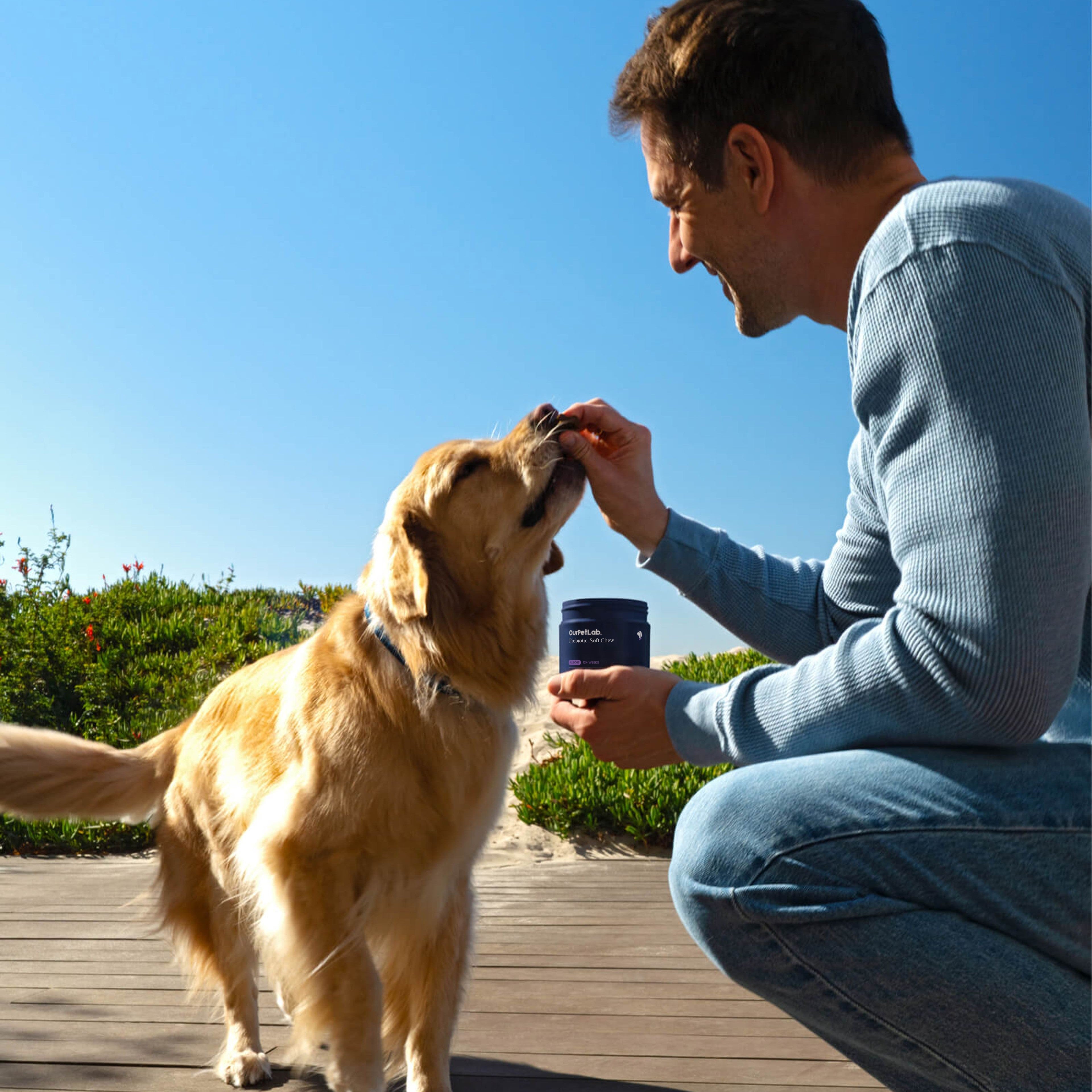 Probiotic Chews