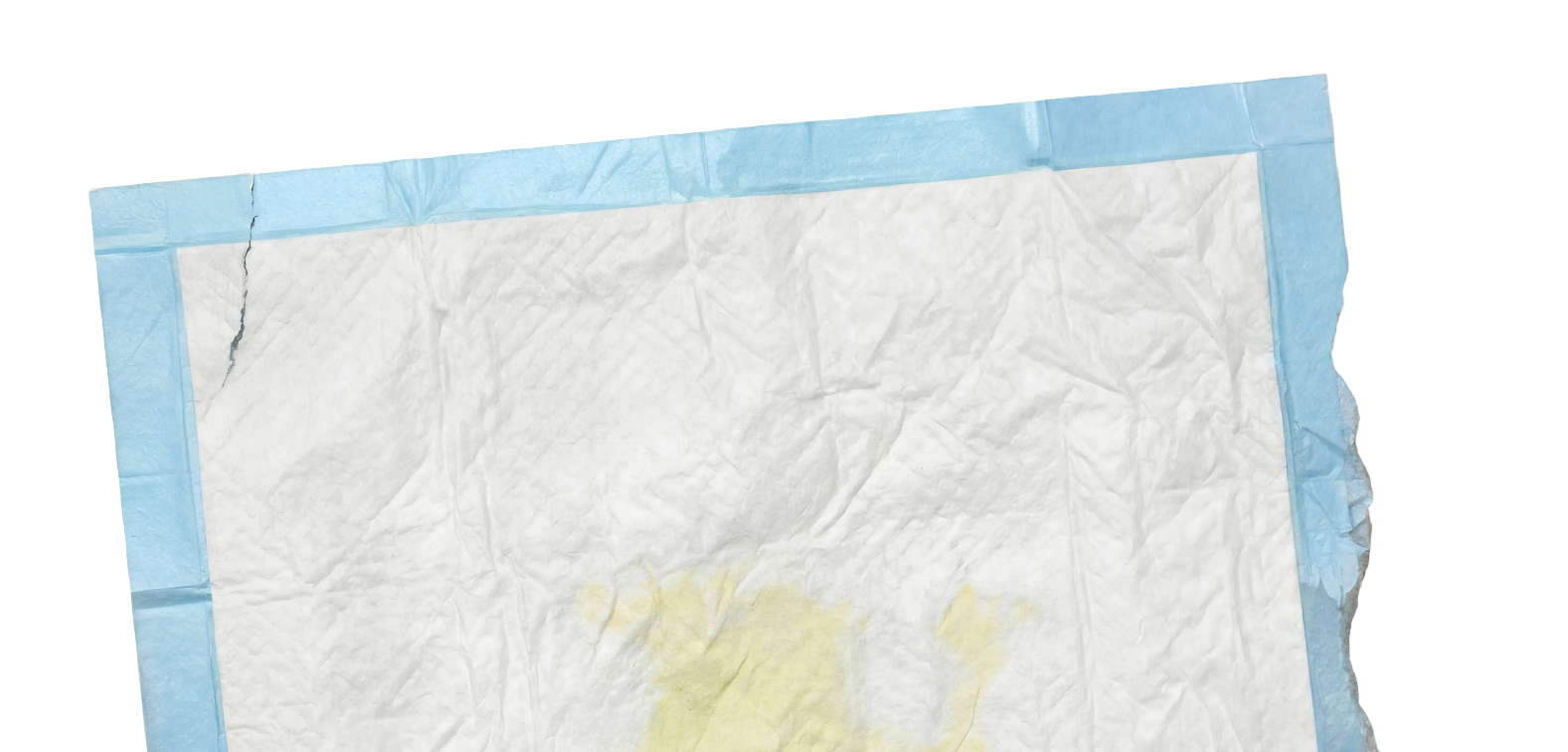 Disposable pup pad