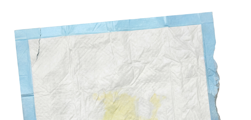 Disposable Pad